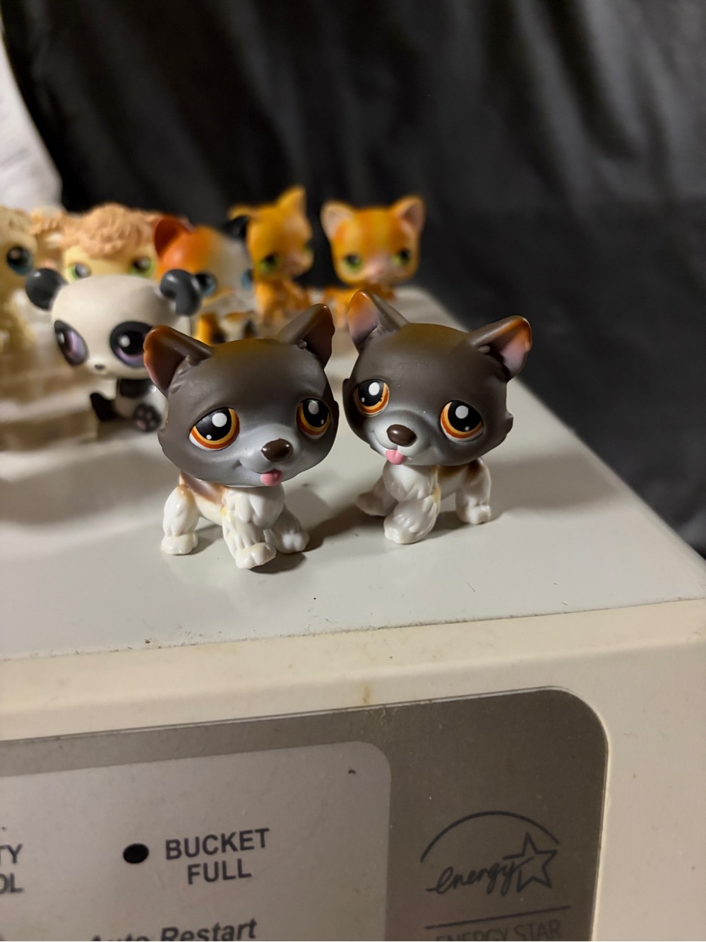 Littlest pet shop #174 brown husky brown eyes rare!